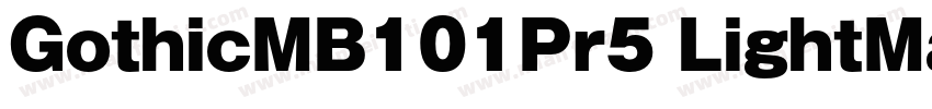 GothicMB101Pr5 LightMaruFoPro Regul字体转换